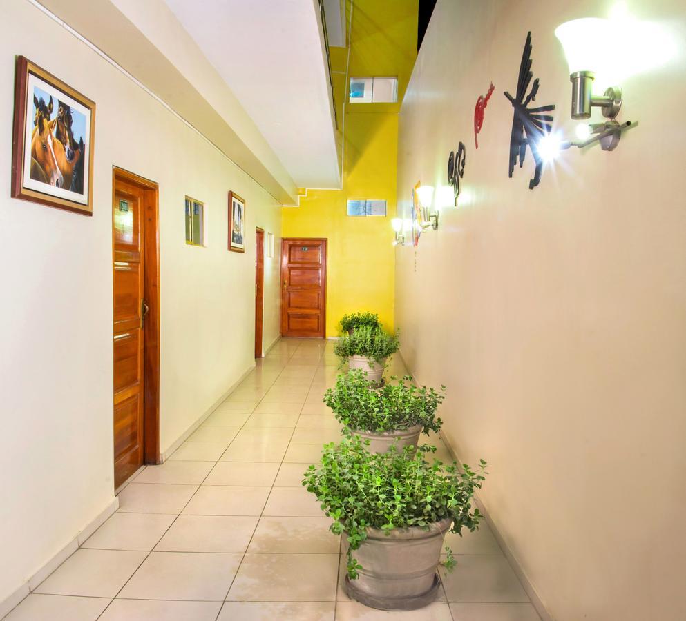 Hotel Colon Plaza Ica Zewnętrze zdjęcie